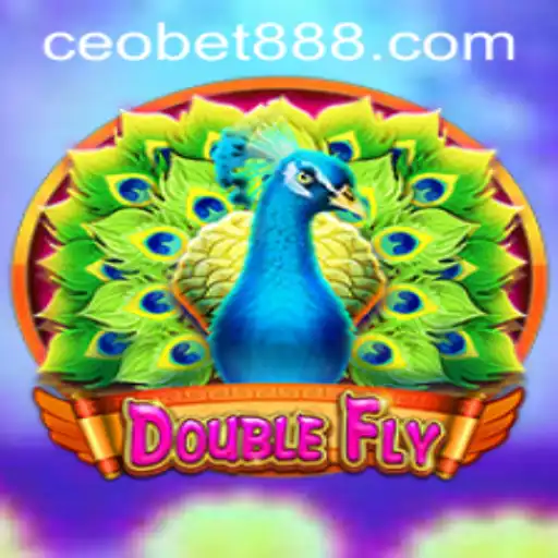 DoubleFly: A Thrilling Adventure in the Gaming World